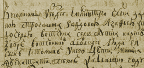 писцовая книга