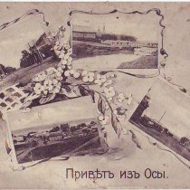 Оса старинная